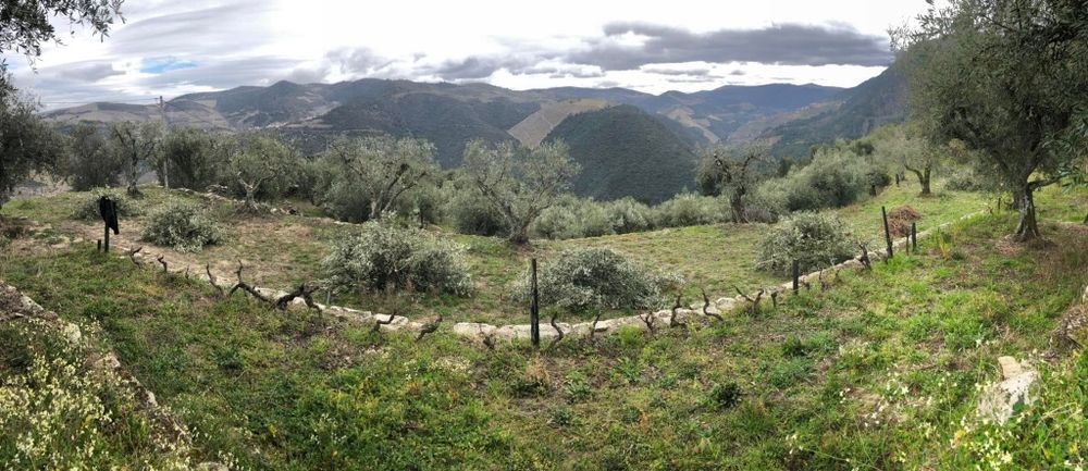 Terreno Urbano em Tabuaço