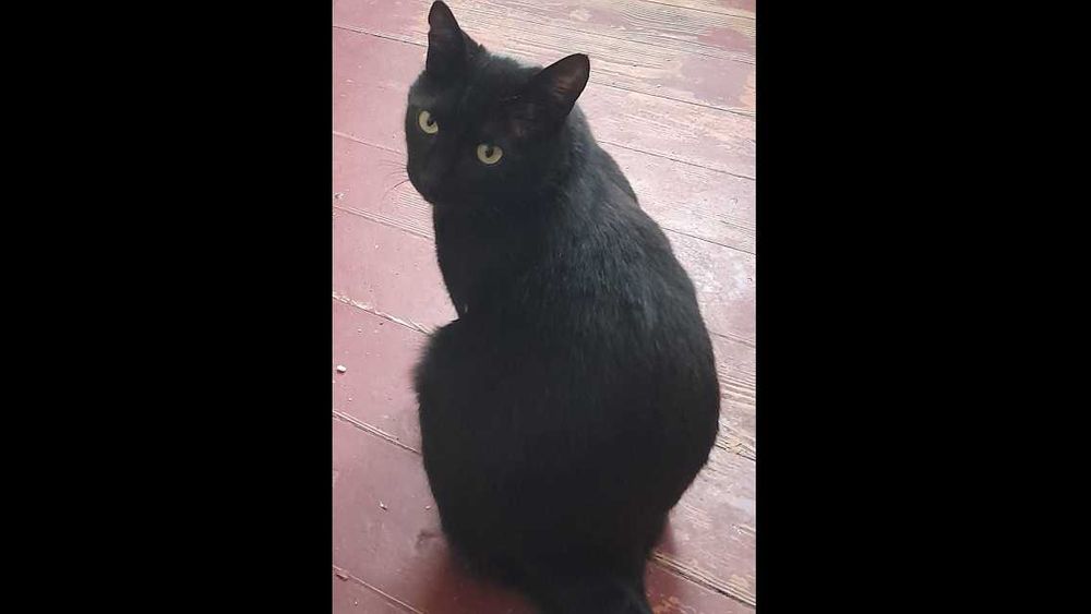 Потрібна допомога!