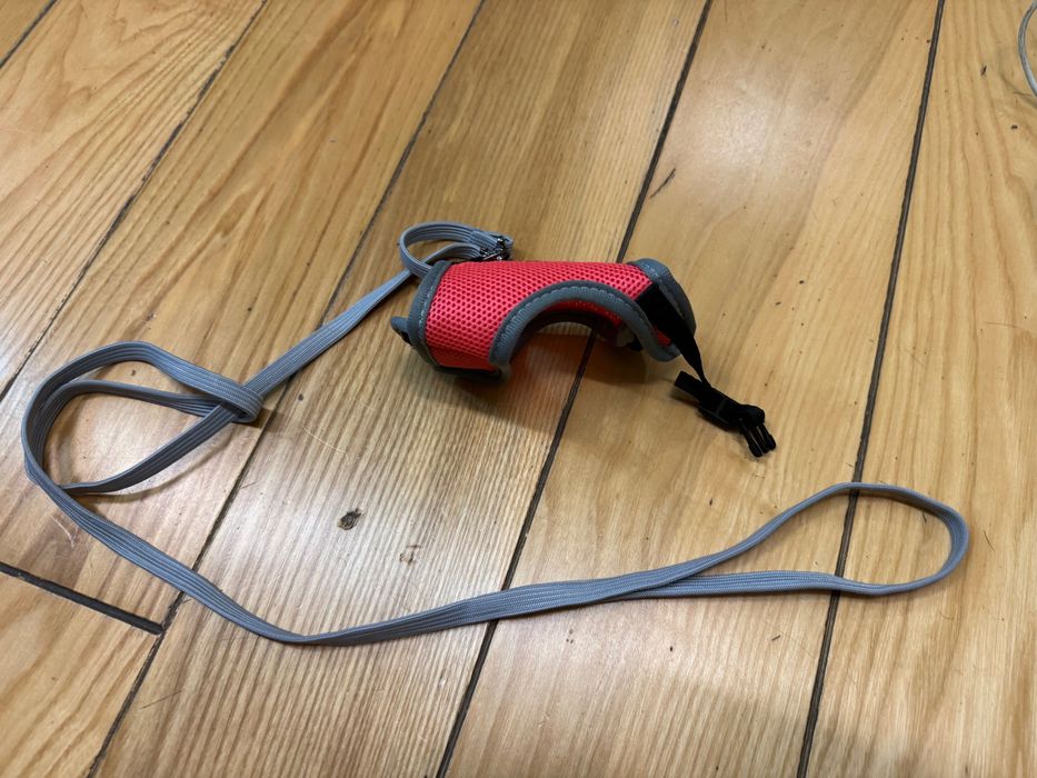 Шлея - жилетка для щуриків