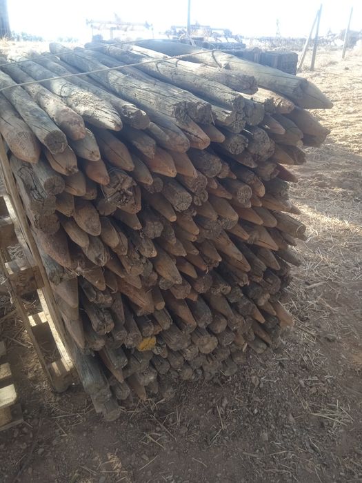 Postes de vedação tratados64409453659523123
