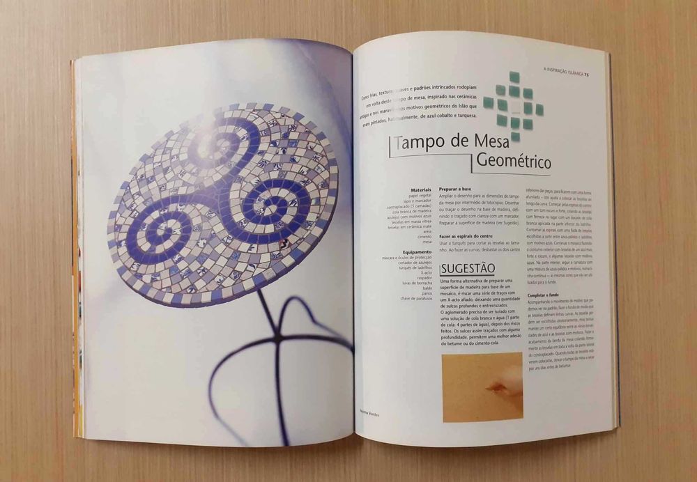 Artes & Ofícios dos Mosaicos (Fran Soler)