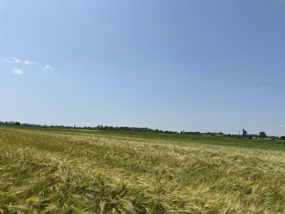 Продаж унікальної земельної ділянки 2 га! Комерційне призначення!