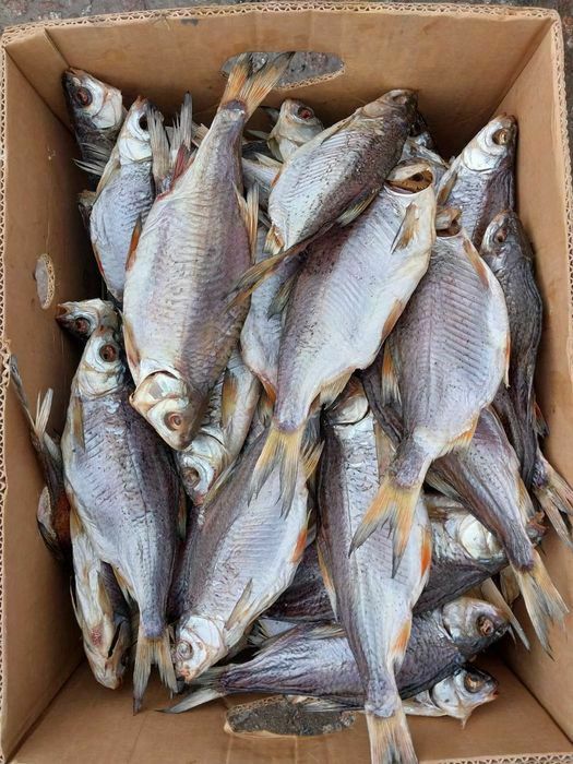 Крупний смачний Лящь Тарань сушена плотва