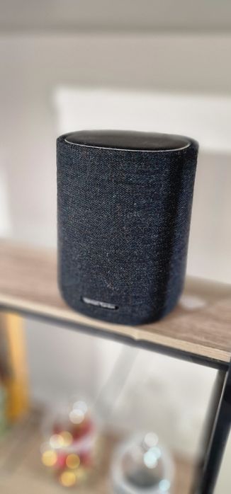 Google Assistant64550208970498122