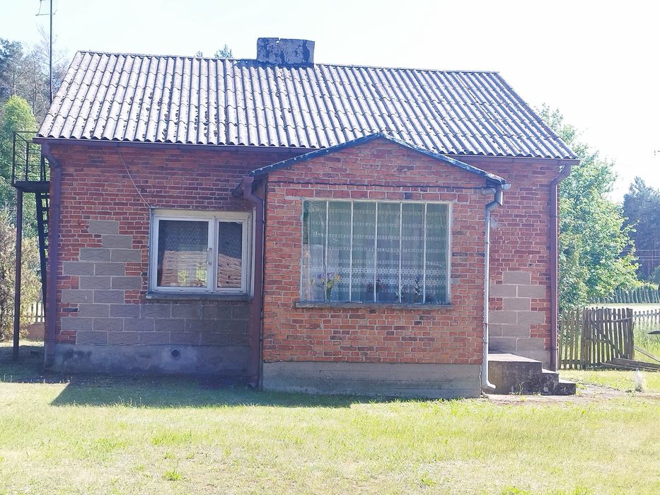 Zdjęcie 8