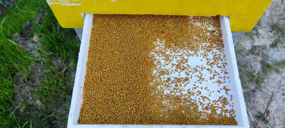 Miód LIPOWY―AKACJOWY ― Miody SPADZIOWE ―Pyłek― Pasieka PRADAWNA® 1957'