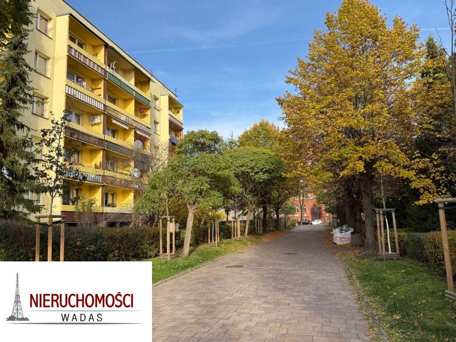 Gliwice, Zatorze, Wandy. 2-pokoje, 40mkw z CO. Cena z czynszem