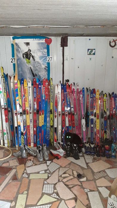 Гірські лижі, бігові, не дорого.