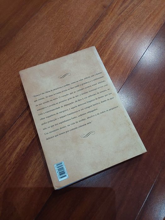 Livro - As Pupilas do Senhor Reitor de Júlio Dinis