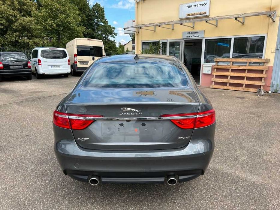 Бампер JAGUAR XF X260 запчастини розборка Ягуар іксф ікс260 шрот