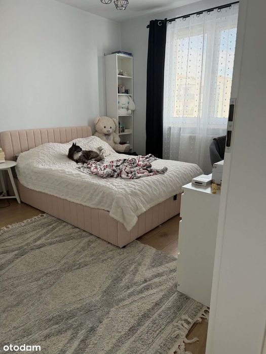 Zdjęcie 8