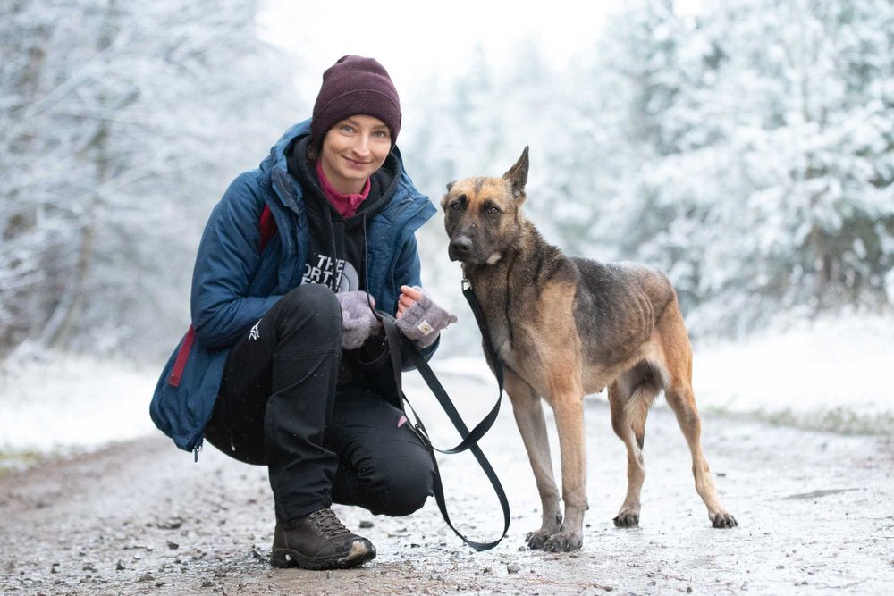 RONIA - piękna sunia w typie owczara belgijskiego, dla doświadczonych