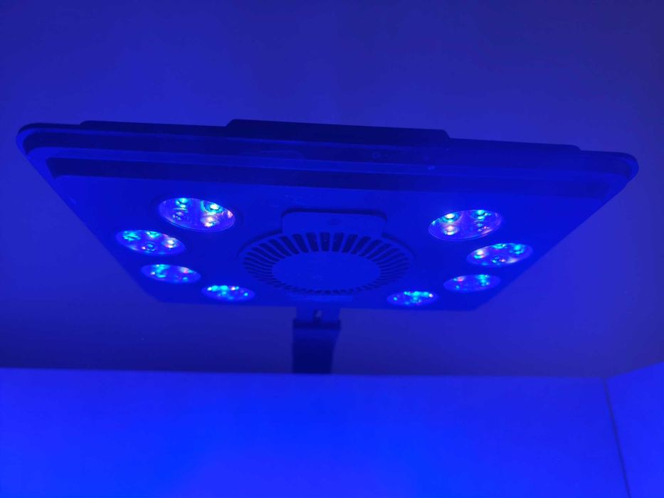 Lampy do akwarium morskiego Maxpect mjl-290