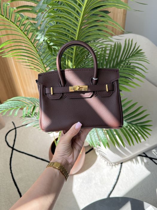 Сумка Hermes Birkin 20 Brown/Gold