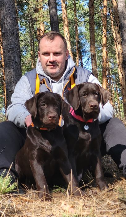 Породні, якісні цуценята!