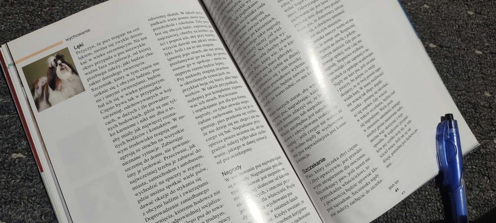 Shih Tzu wiedza w pigułce kompendium informacji i rasie bogate.