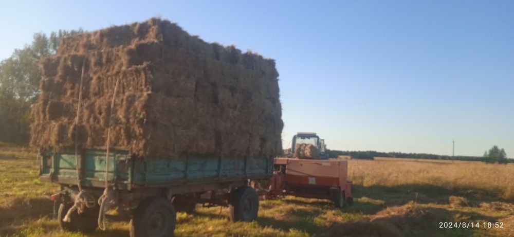 Продам сіно та солому