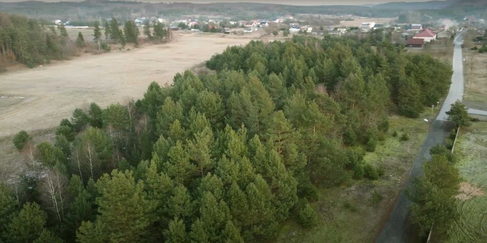 Piękna, zalesiona działka budowlana w Zdowie