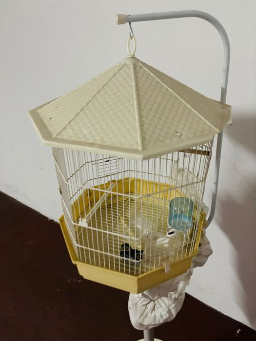Gaiola de pé branca