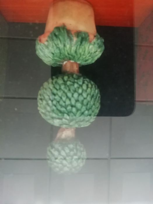 Caixa  decorativa com A 43 cm, L 32,5cm e prof 6,5 cm