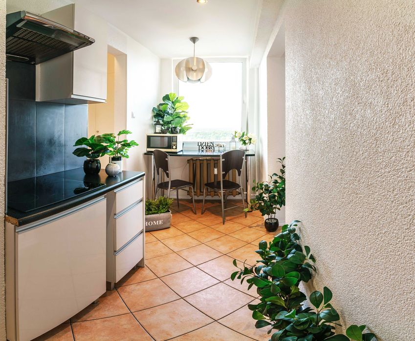 Apartment in Poznań, Grunwald, Łazarz - Więcej