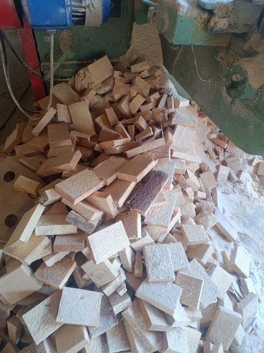 Obrzynki sosnowe jodłowe