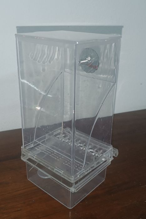 Comedouro automático para periquitos australianos