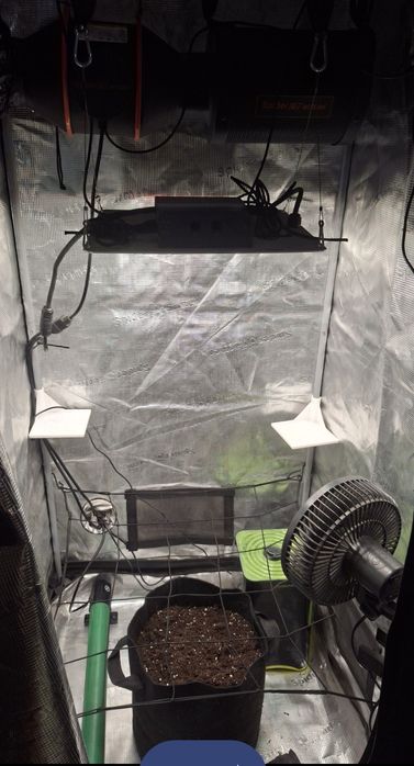 Grow box zestaw do uprawy roślin spider farmer
