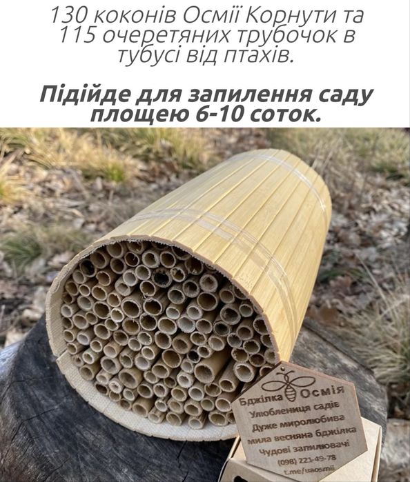 Будиночки для осмій. Кокони Осмій Корнута. Трубочки очеретяні. Осмії