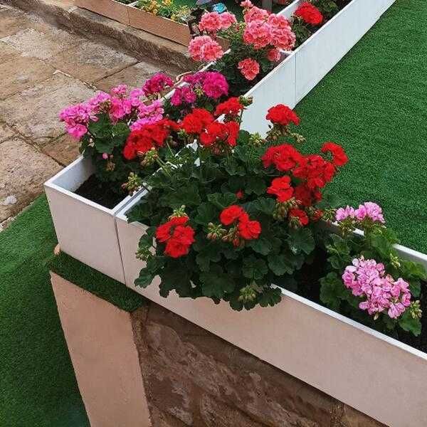 Floreira Betão + Fibras Retangular Jardim Varanda Terraço Esplanada