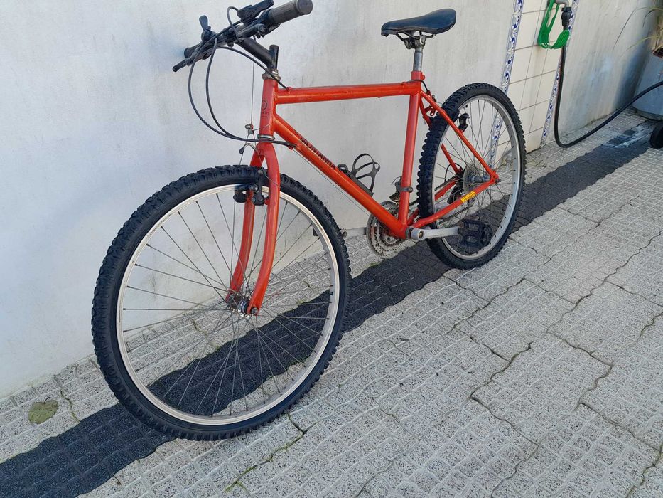 Bicicleta de montanha BMX