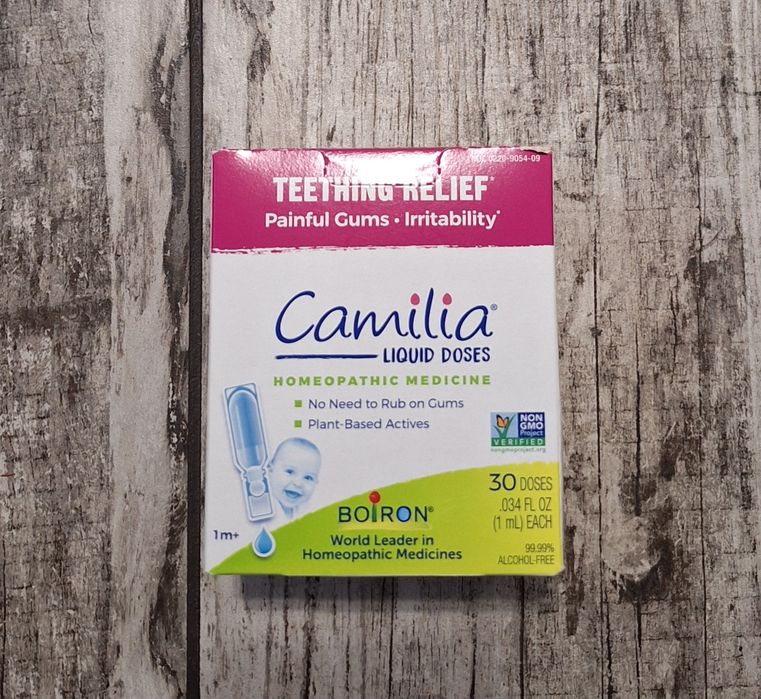 Camilia Камилия Камілія Камелия