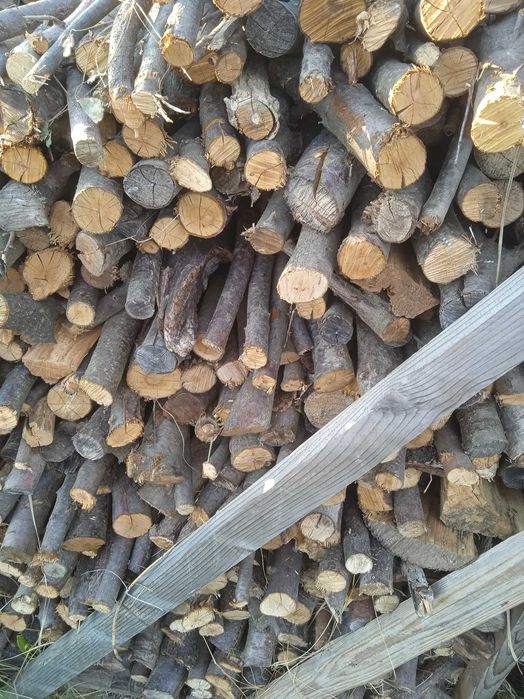 Drewno kominkowe drobne suche