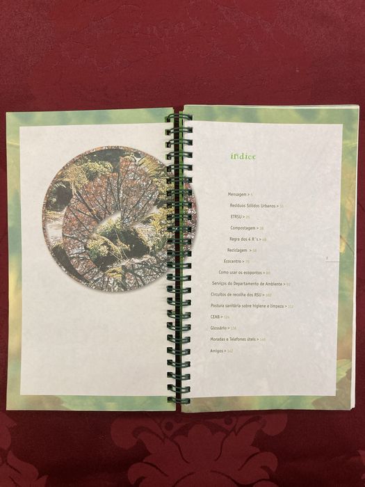 Agenda Verde 2000/01