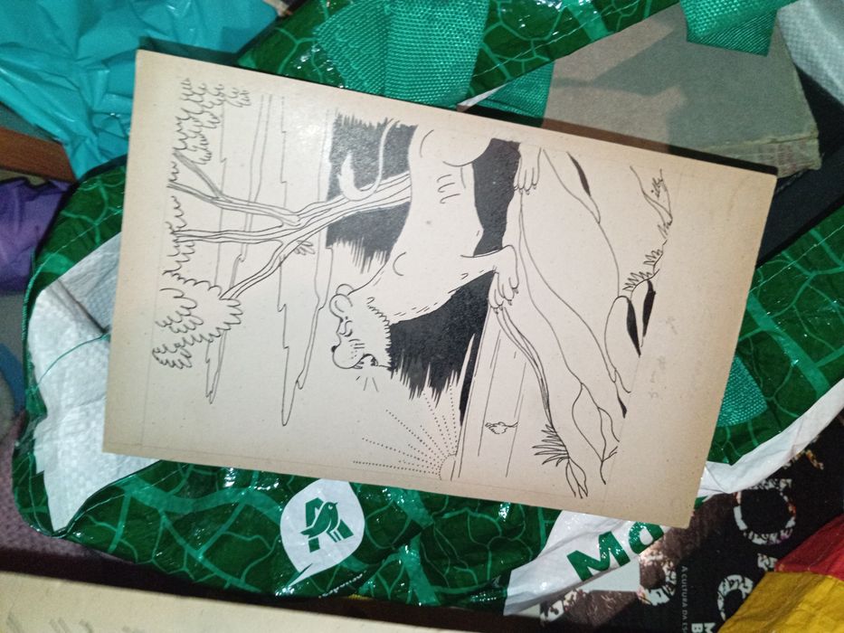 Dois desenhos em cartao