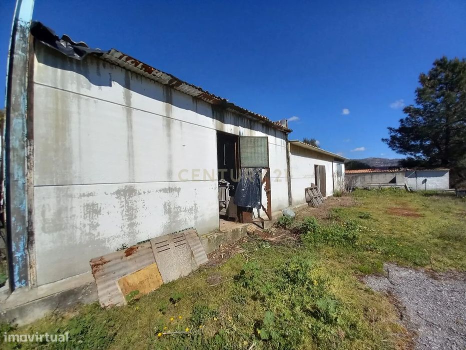 Quinta com 24750m2 Louriçal do campo