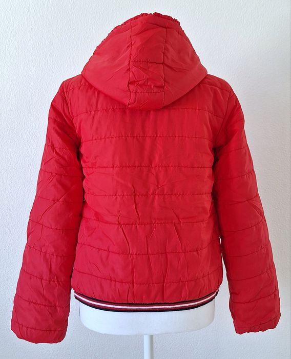 Casaco vermelho (Zippy)