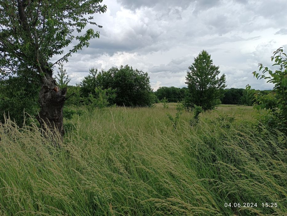 Продаж земельної ділянки під будівництво