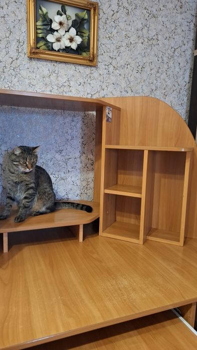 Продам комп'ютерний стіл