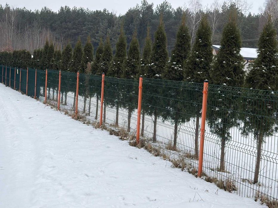 Panel ogrodzeniowy 1,23 fi4/ komplet / brama  wjazdowa/ furtka