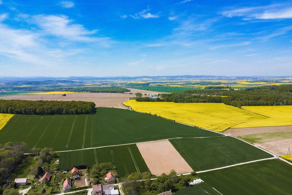 Działka budowlana nr 170 miejscowość Pielaszkowice! Działka z potencjałem! Gmina Udanin - Widok 3