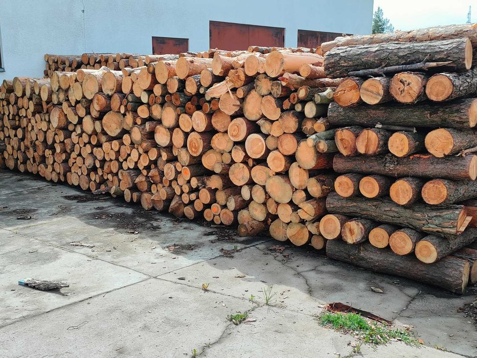 Drewno opałowe sosnowe