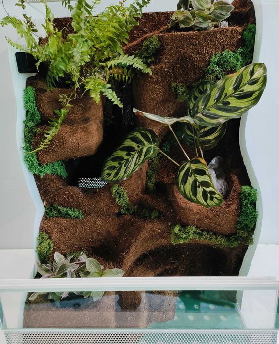 Terrarium dla gekona orzęsionego z wodospadem ledami AquaWaves TW33TR
