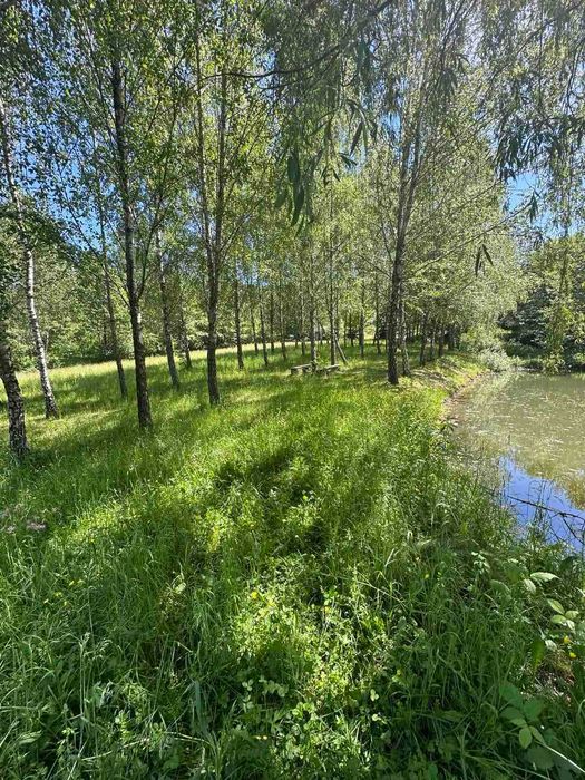 Продається земельна ділянка в с. Ракош