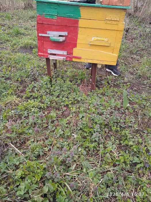 Продам вулики б/в в хорошому стані