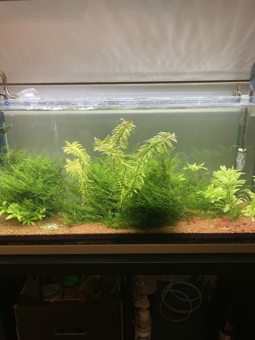 Iluminaria led aquario