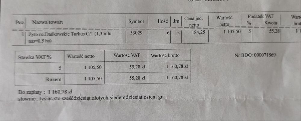 Żyto populcyjne Dańkowskie Turkus