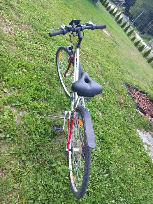 Author Therma rower damka