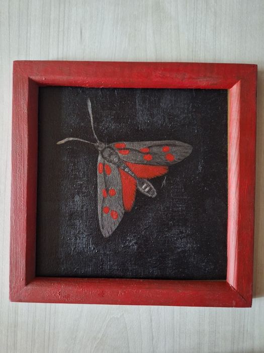 Картини з метеликами