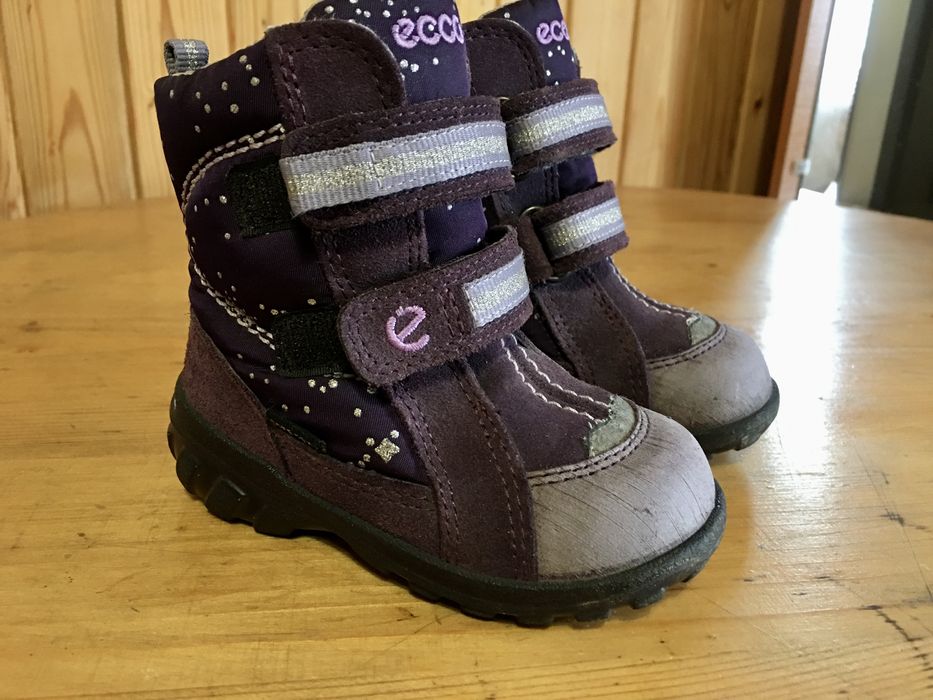 Термоботинки, сапожки ECCO 21 р.